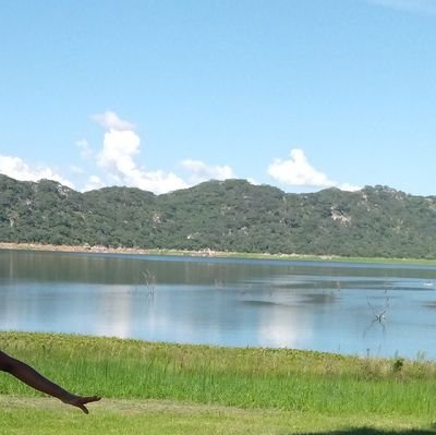 Shophop6's profile picture. live love❤️🐨