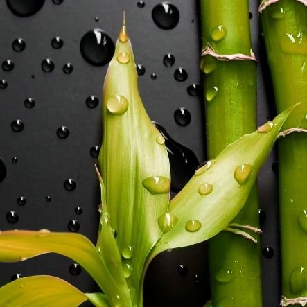 deari4u's profile picture. I am a helping nature man and today evil is increasing in the society, so whenever I see atrocities, I am worried and wonder why people have become so cruel.