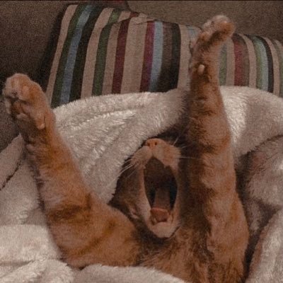 r28md's profile picture. ⚖️ | ولا نَخشى إلّا الله، واللهُ أكبَر🤎