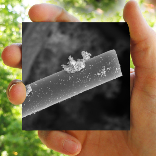 Following innovation, green tech, clean tech, and nanotech.