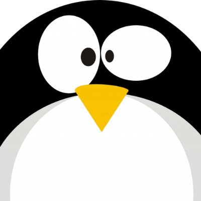 matyxcz's profile picture. 