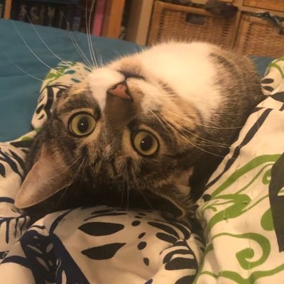 Lover of books, tv, and movies. Here to post bad jokes and follow people who do stuff I like.