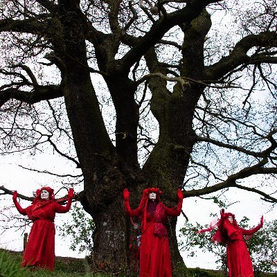I'm a contemporary eco artist, working internationally. I specialise in sculpture, earth art and paintings.