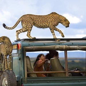 mosoprano_'s profile picture. Instagram : mo.soprano