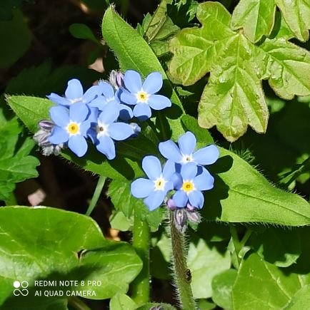 HitzMarkus's profile picture. 