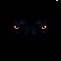 الشبح (@alshb7_1) 's Twitter Profile