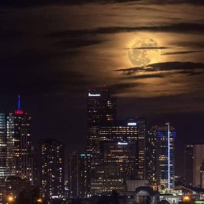 ElonnK's profile picture. Secular humanist. Activist. Tree hugger. Freedom lover. LGBTQ+, Millennial, and rumor has it I am a witch. She/Her or They/Them 🤱🏾🧜🏽‍♀️👩‍👦 ACAB