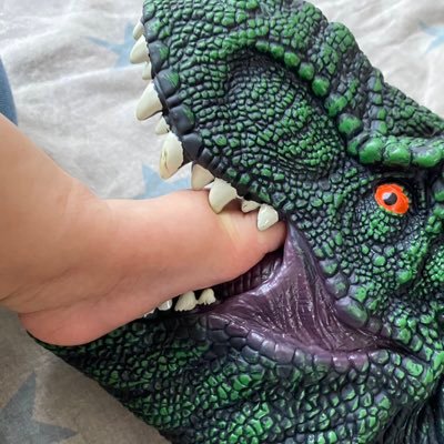 Cotorinono's profile picture. 読書、映画、日々の子育て（男子3人）について呟きます。無言フォローさせてもらってます。なので、無言でフォロバ歓迎です。夏休み中は読書少なめです。悪しからず。 #読書好きな人と繋がりたい