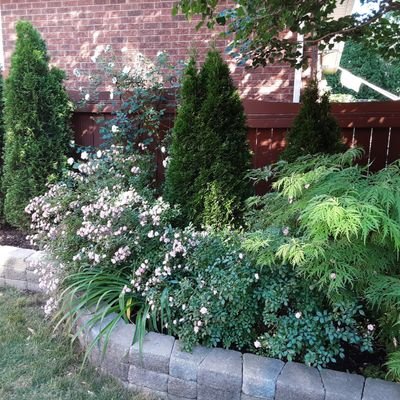 lclarke1916's profile picture. Loving life with my hubby and our little pooch. We are Canadians who are deeply concerned with what Mark Carney will do to our great country.