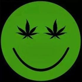 amethE29's profile picture. H