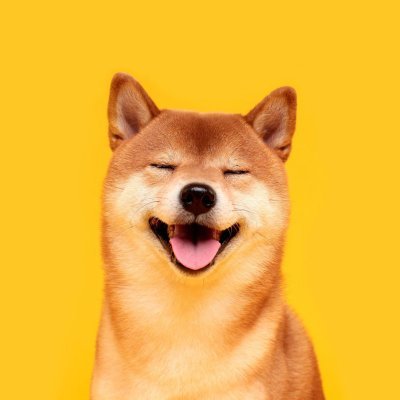 cesyvb's profile picture. $makemoney$