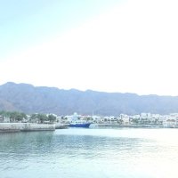 القرصان (@pirate1991) Twitter profile photo