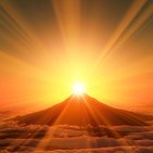 niidaoyaji's profile picture. 