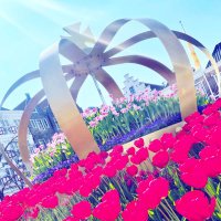 gogo_htb (@gogohtb) 's Twitter Profile