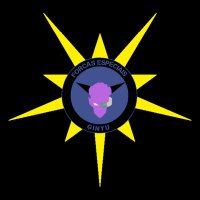 Forças Especiais GINYL (@fginyl) 's Twitter Profile