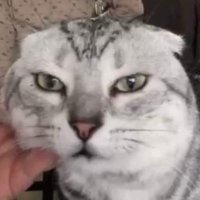 LuisRL (@jonyr16) 's Twitter Profile