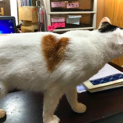 hamamoto_2021_9's profile picture. 相互フォロー100% ブログ始めました。ドがつくほど初心者です💦 隙間時間にサクッと遊べる無料ゲームや、あっこれいいな♪と思うおすすめを紹介したりしてます😊見に来てくれると嬉しいな〜😃よろしくお願いしま〜す🙏