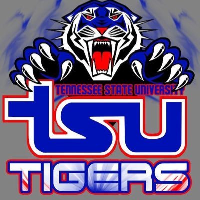 Official Twitter Page for ALL Tennessee State University Tea & Confessions. You can DM or use link and we’ll post it. ALL POST WILL REMAIN ANONYMOUS