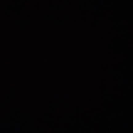 Alexis24478383's profile picture. 