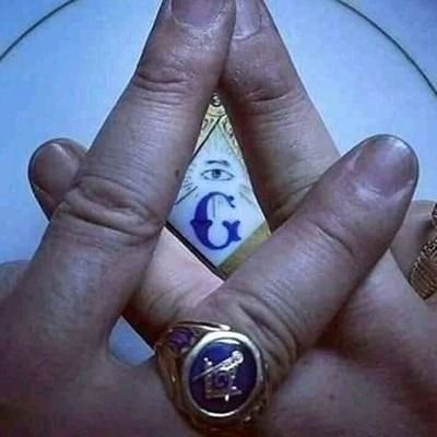 Petronide1's profile picture. cool