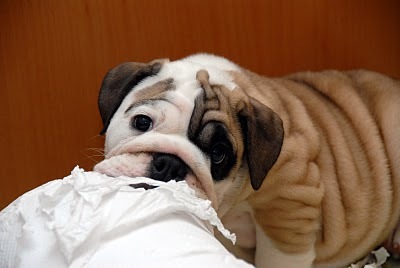 mechtech's profile picture. 