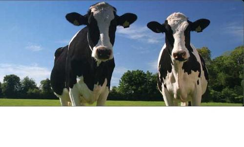 Compete4Parts's profile picture. Come visit us at http://t.co/3eNQZLdxuS.  We provide competitive pricing on Agricultural parts.  Shop your next parts order with us!  You won't be disappointed.