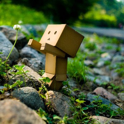 McdnMaria's profile picture. The beginning is always today.