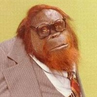 Mr Orangutan (@bigmanorang) 's Twitter Profile