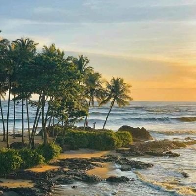 NitishHabbu's profile picture. 