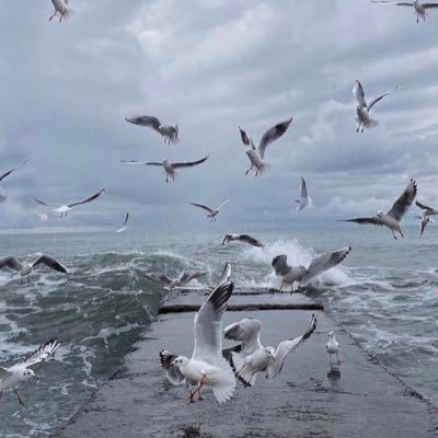 WejdanBarashi's profile picture. {وَالَّذِي هُوَ يُطْعِمُنِي وَيَسْقِينِ} #يمددكم_ربكم #هو_علي_هين #فصبر_جميل #ولسوف_يعطيك_ربك_فترضى