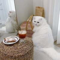 kiers (@rinkitaynezha1) 's Twitter Profile Photo kiers (@rinkitaynezha1) 's Twitter Profile Photo