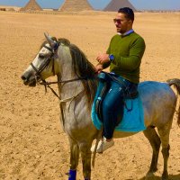 medo elkirany (@elkirany_medo) 's Twitter Profile