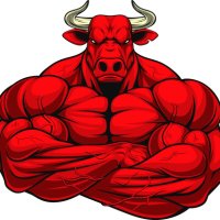 β οΈBull of Europe πͺπΊπ©πͺπ³π±π¨ππ«π·πͺπΈ (@avrupatekerkek) 's Twitter Profile