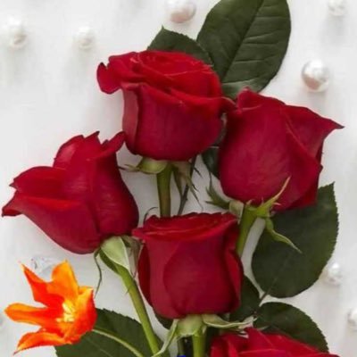 anjali06729813's profile picture. Simple living high thinking