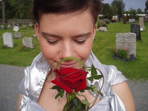 stjernedust's profile picture. 