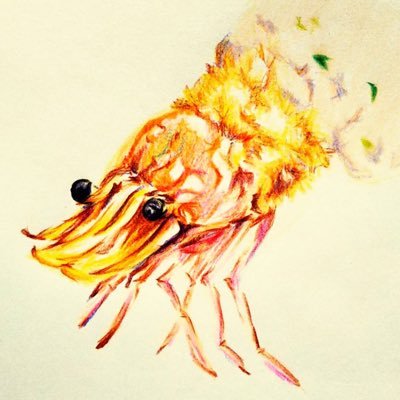yukiさんのプロフィール画像