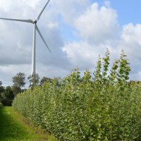 Bioenergy @bioenergyvib.bsky.social (@bioenergyvib) 's Twitter Profile