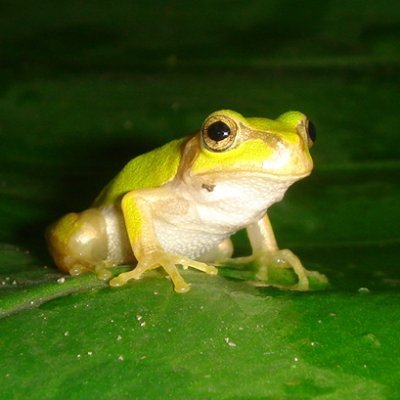 Uro_Nintaka's profile picture. 『ドラゴンクエスト』と同い年。 “ゆうべ”をお楽しんだことは無い。