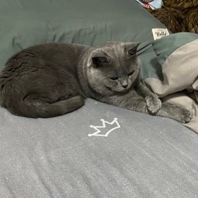 dalvluo's profile picture. 