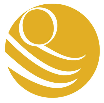qlinstruments's profile image