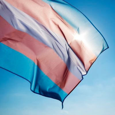 Global Trans Rights Alliance