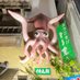 博多の味イカ姿造りの「まる家」【公式】🦑アビスパ福岡熱烈応援ダイニングバー『バーモス博多』🍸🔥 (@ugoevauxj6ww1ia) Twitter profile photo 博多の味イカ姿造りの「まる家」【公式】🦑アビスパ福岡熱烈応援ダイニングバー『バーモス博多』🍸🔥 (@ugoevauxj6ww1ia) Twitter profile photo