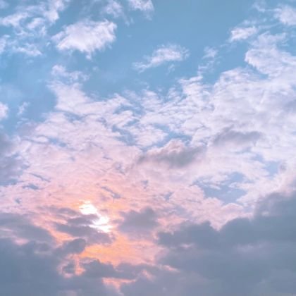 tusngaann's profile picture. CARAT 💎🐳