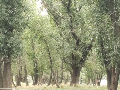 MartocciSoledad's profile picture. vivir