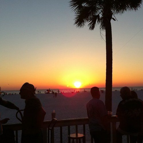 Bchknitter's profile picture. 