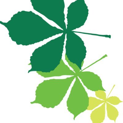 Chestnut Grove Academy Profile