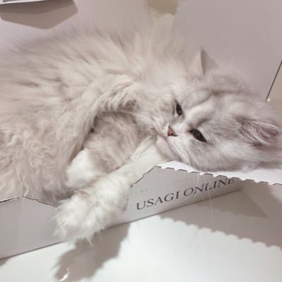 ir826's profile picture. 🩹