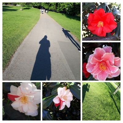 JaimeBa71051448's profile picture. Colombian born artist living in London. Founder & Director of SMart Network - Editor-in-Chief SMart Magazine. Visionary of the "Imposible Art".