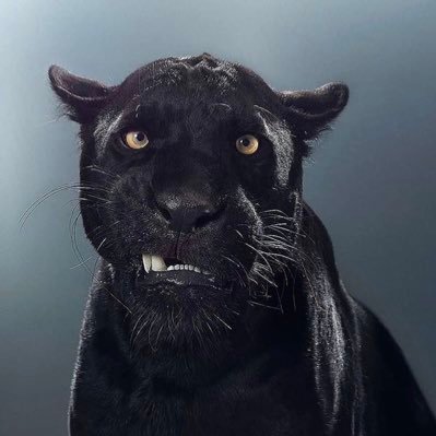 ghost92ghostt's profile picture. 