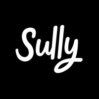 Sully(@Sully_Skylines) 's Twitter Profile Photo